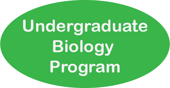 1 undergrad_program_link